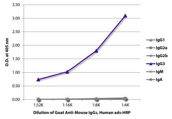 Abbildung: Ziege IgG anti-Maus IgG3 (Fc)-HRPO, MinX Hu