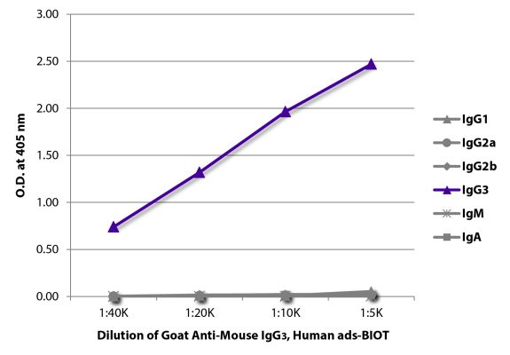 Abbildung: Ziege IgG anti-Maus IgG3 (Fc)-Biotin, MinX Hu