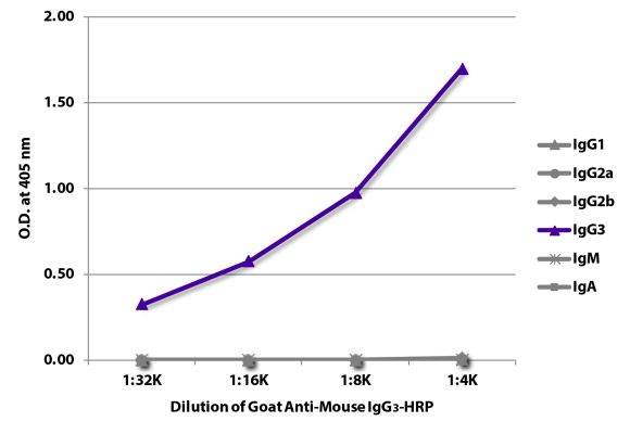 Abbildung: Ziege IgG anti-Maus IgG3 (Fc)-HRPO, MinX keine
