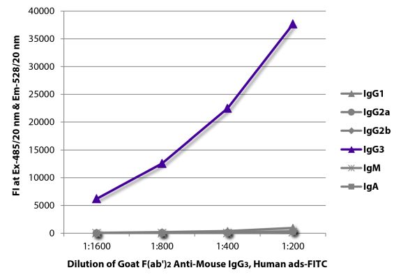Abbildung: Ziege F(ab')2 anti-Maus IgG3 (Fc)-FITC, MinX Hu