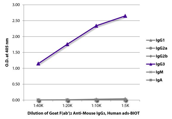 Abbildung: Ziege F(ab')2 anti-Maus IgG3 (Fc)-Biotin, MinX Hu