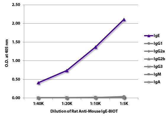 Abbildung: Ratte IgG anti-Maus IgE-Biotin, MinX keine