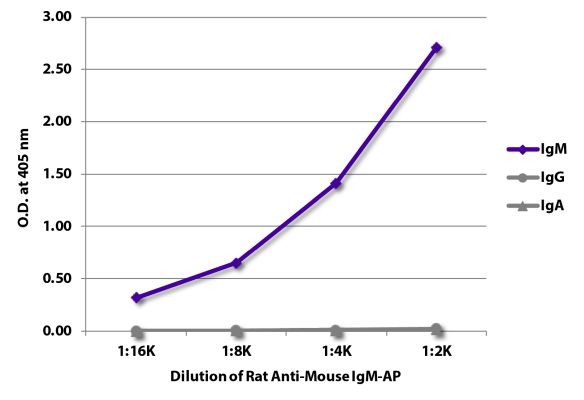 Abbildung: Ratte IgG anti-Maus IgM (µ)-Alk. Phos., MinX keine