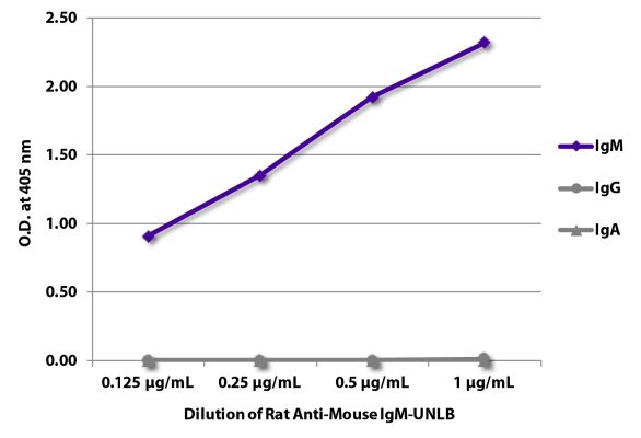 Abbildung: Ratte IgG anti-Maus IgM (µ)-unkonj., MinX keine