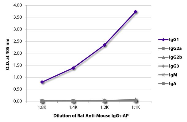 Abbildung: Ratte IgG anti-Maus IgG1 (Fc)-Alk. Phos., MinX keine