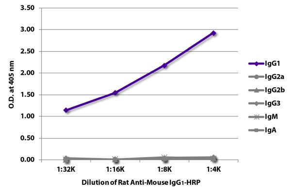 Abbildung: Ratte IgG anti-Maus IgG1 (Fc)-HRPO, MinX keine