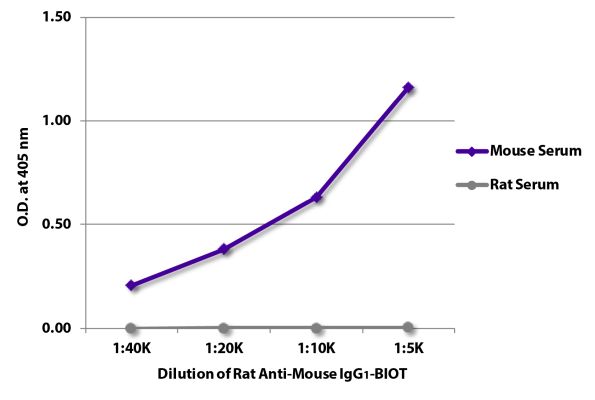 Abbildung: Ratte IgG anti-Maus IgG1 (Fc)-Biotin, MinX keine