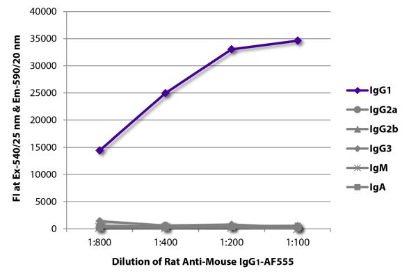 Abbildung: Ratte IgG anti-Maus IgG1 (Fc)-Alexa Fluor 555, MinX keine