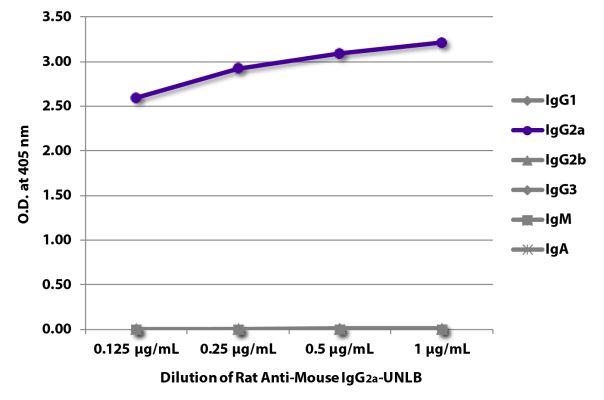 Abbildung: Ratte IgG anti-Maus IgG2a (Fc)-unkonj., MinX keine