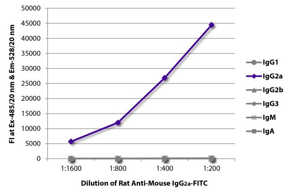 Abbildung: Ratte IgG anti-Maus IgG2a (Fc)-FITC, MinX keine