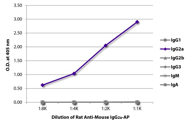 Image: Rat IgG anti-Mouse IgG2a (Fc)-Alk. Phos., MinX none