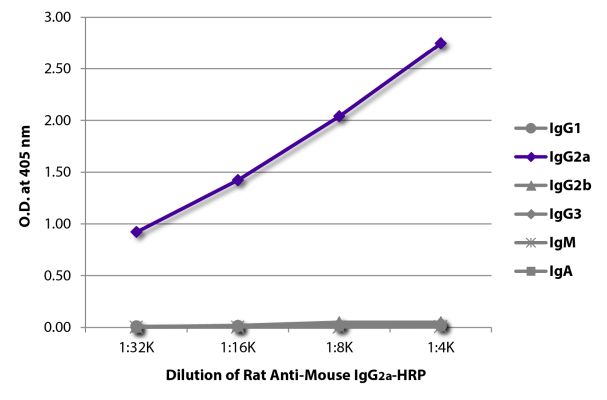 Abbildung: Ratte IgG anti-Maus IgG2a (Fc)-HRPO, MinX keine