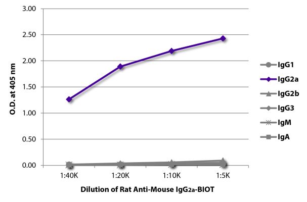 Abbildung: Ratte IgG anti-Maus IgG2a (Fc)-Biotin, MinX keine