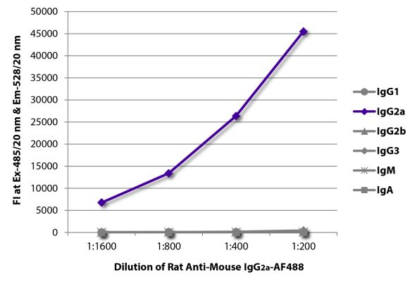 Image: Rat IgG anti-Mouse IgG2a (Fc)-Alexa Fluor 488, MinX none