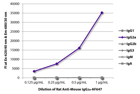 Abbildung: Ratte IgG anti-Maus IgG2a (Fc)-Alexa Fluor 647, MinX keine