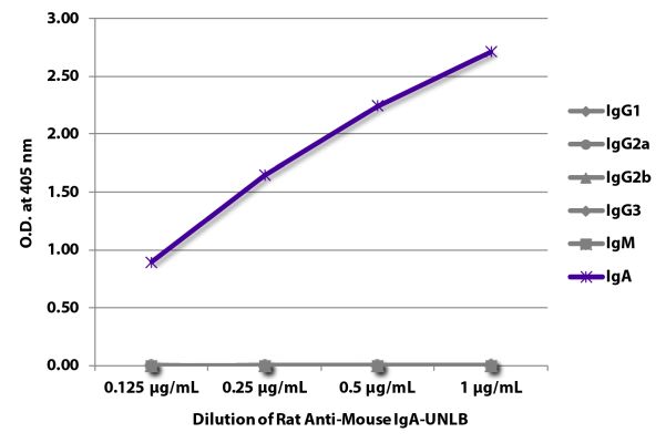 Abbildung: Ratte IgG anti-Maus IgA-unkonj., MinX keine