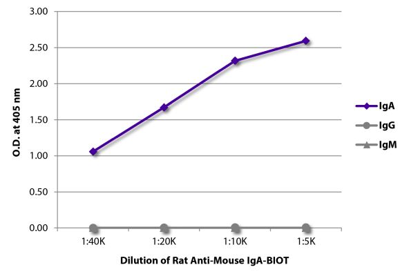 Abbildung: Ratte IgG anti-Maus IgA-Biotin, MinX keine