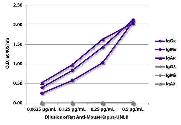Abbildung: Ratte IgG anti-Maus Kappa (leichte Kette)-unkonj., MinX keine