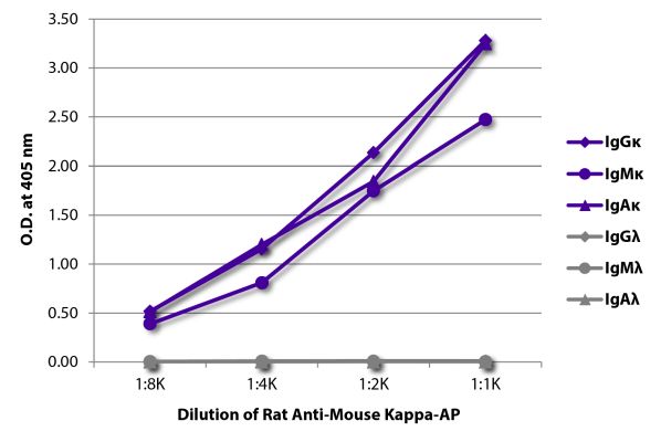 Abbildung: Ratte IgG anti-Maus Kappa (leichte Kette)-Alk. Phos., MinX keine