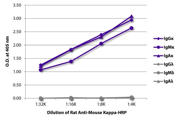 Abbildung: Ratte IgG anti-Maus Kappa (leichte Kette)-HRPO, MinX keine
