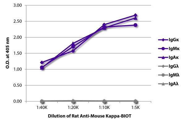 Abbildung: Ratte IgG anti-Maus Kappa (leichte Kette)-Biotin, MinX keine