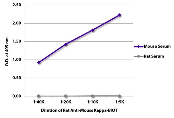 Image: Rat IgG anti-Mouse Kappa light chain-Biotin, MinX none