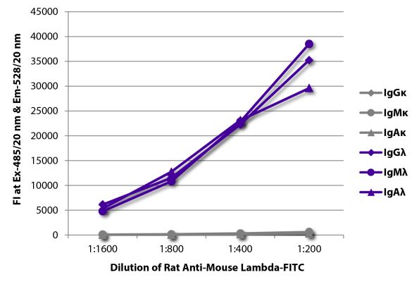 Abbildung: Ratte IgG anti-Maus Lambda (leichte Kette)-FITC, MinX keine