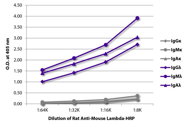 Abbildung: Ratte IgG anti-Maus Lambda (leichte Kette)-HRPO, MinX keine