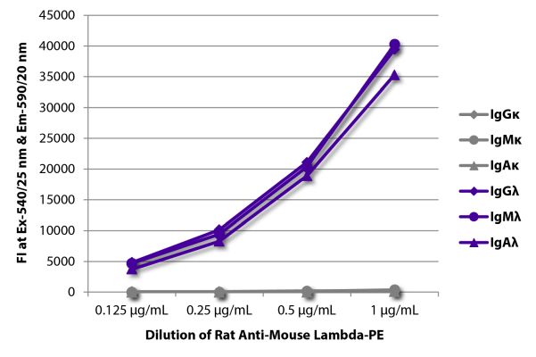 Abbildung: Ratte IgG anti-Maus Lambda (leichte Kette)-RPE, MinX keine