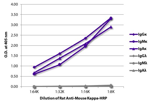 Image: Rat IgG anti-Mouse Kappa light chain-HRPO, MinX none