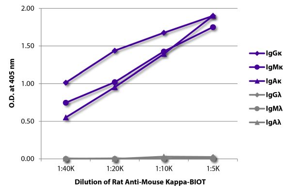 Image: Rat IgG anti-Mouse Kappa light chain-Biotin, MinX none