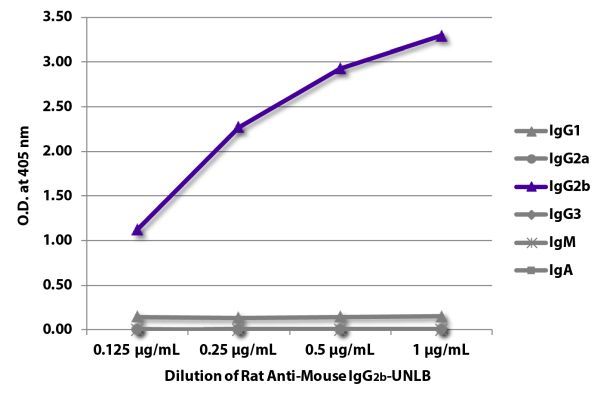 Abbildung: Ratte IgG anti-Maus IgG2b (Fc)-unkonj., MinX keine