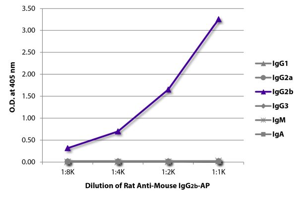Abbildung: Ratte IgG anti-Maus IgG2b (Fc)-Alk. Phos., MinX keine