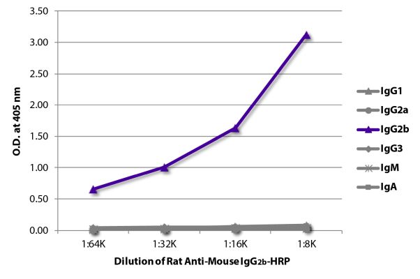 Abbildung: Ratte IgG anti-Maus IgG2b (Fc)-HRPO, MinX keine