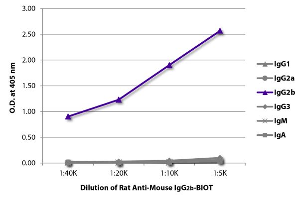 Abbildung: Ratte IgG anti-Maus IgG2b (Fc)-Biotin, MinX keine