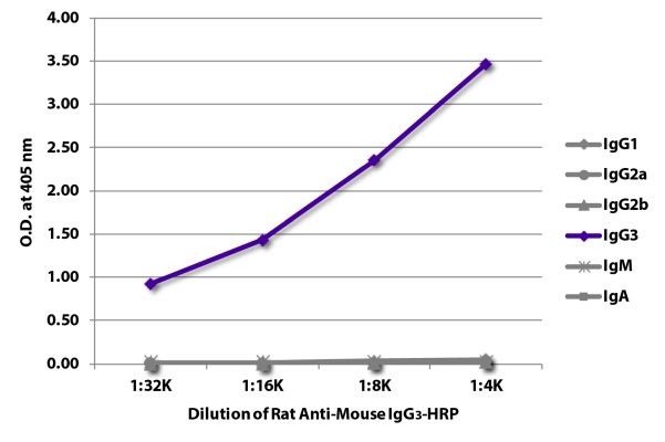 Image: Rat IgG anti-Mouse IgG3 (Fc)-HRPO, MinX none