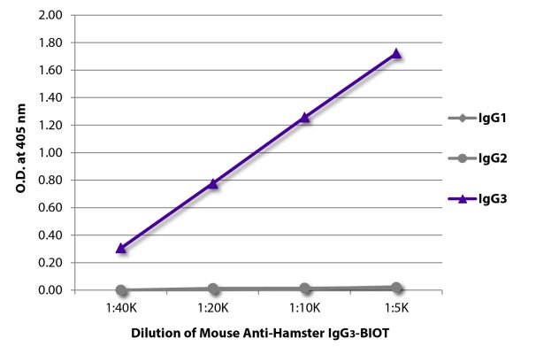 Abbildung: Maus IgG anti-Hamster armenisch IgG3 (Fc)-Biotin, MinX keine