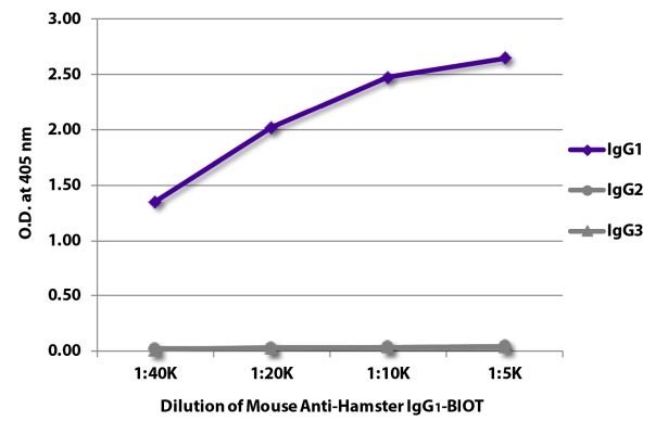 Abbildung: Maus IgG anti-Hamster armenisch IgG1 (Fc)-Biotin, MinX keine