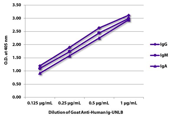 Abbildung: Ziege IgG anti-Human IgG+IgM+IgA (H+L)-unkonj., MinX keine