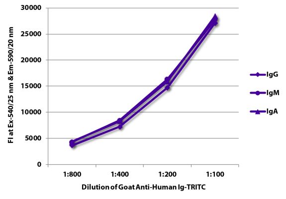 Abbildung: Ziege IgG anti-Human IgG+IgM+IgA (H+L)-TRITC, MinX keine