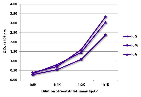 Abbildung: Ziege IgG anti-Human IgG+IgM+IgA (H+L)-Alk. Phos., MinX keine