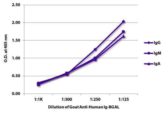 Image: Goat IgG anti-Human IgG+IgM+IgA (H+L)-BGAL, MinX none