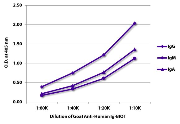 Abbildung: Ziege IgG anti-Human IgG+IgM+IgA (H+L)-Biotin, MinX keine