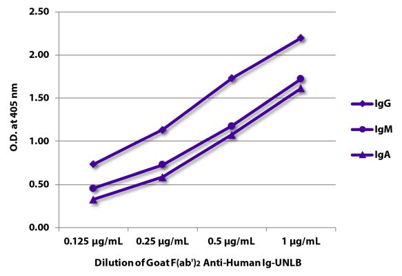 Abbildung: Ziege F(ab')2 anti-Human IgG+IgM+IgA (H+L)-unkonj., MinX keine