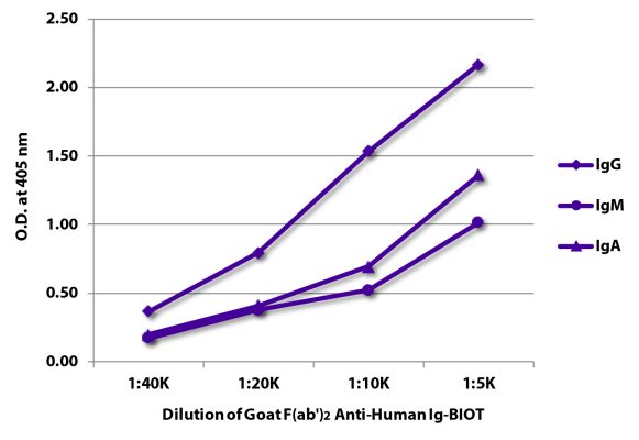Abbildung: Ziege F(ab')2 anti-Human IgG+IgM+IgA (H+L)-Biotin, MinX keine