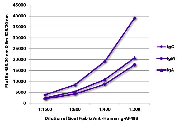 Abbildung: Ziege F(ab')2 anti-Human IgG+IgM+IgA (H+L)-Alexa Fluor 488, MinX keine