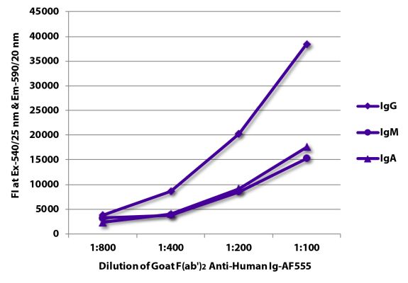 Abbildung: Ziege F(ab')2 anti-Human IgG+IgM+IgA (H+L)-Alexa Fluor 555, MinX keine