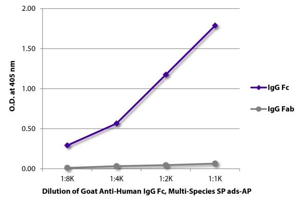 Image: Goat IgG anti-Human IgG (Fc)-Alk. Phos., MinX Rb,Ms,Rt,Bo,Ho,Ha,Go,Sh,Ck,Gp