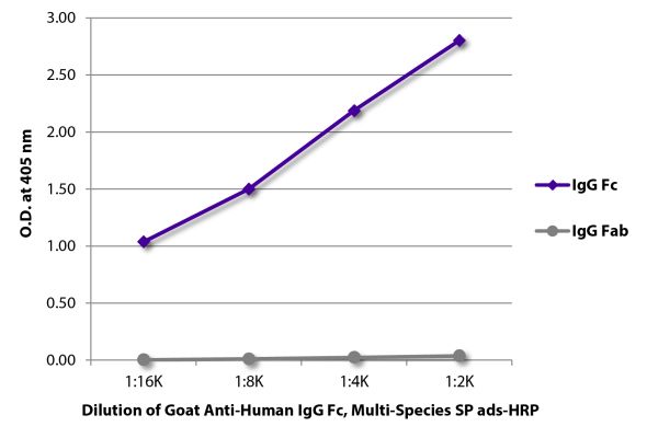 Abbildung: Ziege IgG anti-Human IgG (Fc)-HRPO, MinX Rb,Ms,Rt,Bo,Ho,Ha,Go,Sh,Ck,Gp
