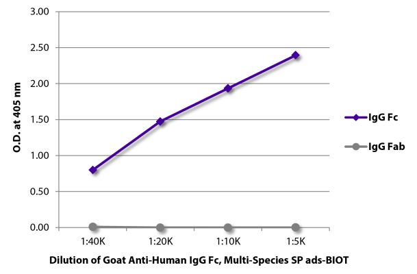 Abbildung: Ziege IgG anti-Human IgG (Fc)-Biotin, MinX Rb,Ms,Rt,Bo,Ho,Ha,Go,Sh,Ck,Gp